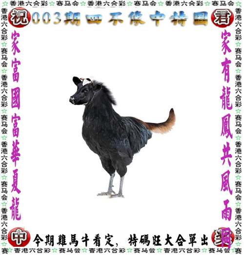 今天澳门资料,设计策略快速解答_整版DKJ656.74