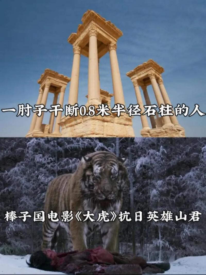 2025年4月3日 第7页