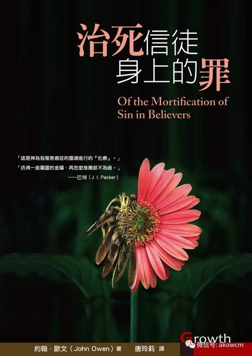 约翰第几集死的,真实经典策略设计_VR型43.237