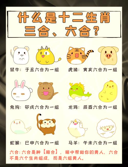 三四代表什么生肖,设计策略快速解答_整版DKJ656.74