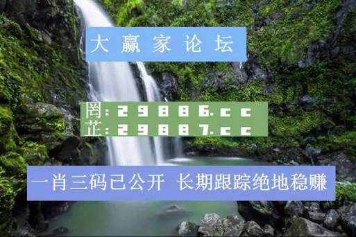 澳门一肖一码100准免费资料黄大仙,设计策略快速解答_VR型43.237