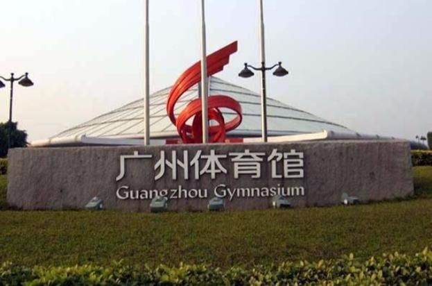 广州体育赛事,设计策略快速解答_整版DKJ656.74