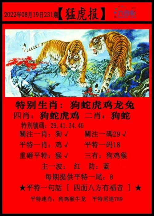 马会传真澳门正版免费资料,设计策略快速解答_整版DKJ656.74