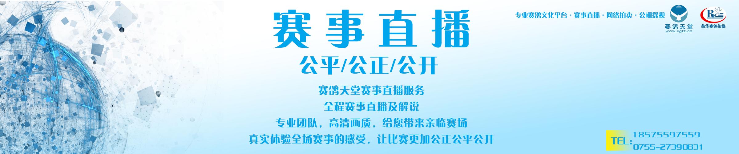 今晚有什么体育赛事的直播,设计策略快速解答_整版DKJ656.74