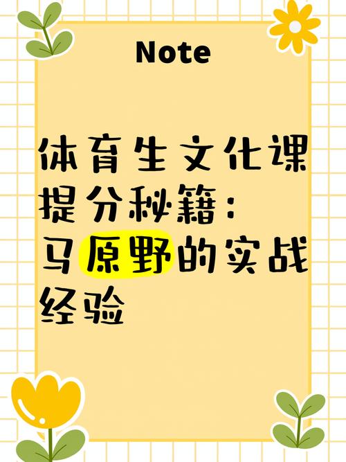 体育怎么提分,设计策略快速解答_VR型43.237