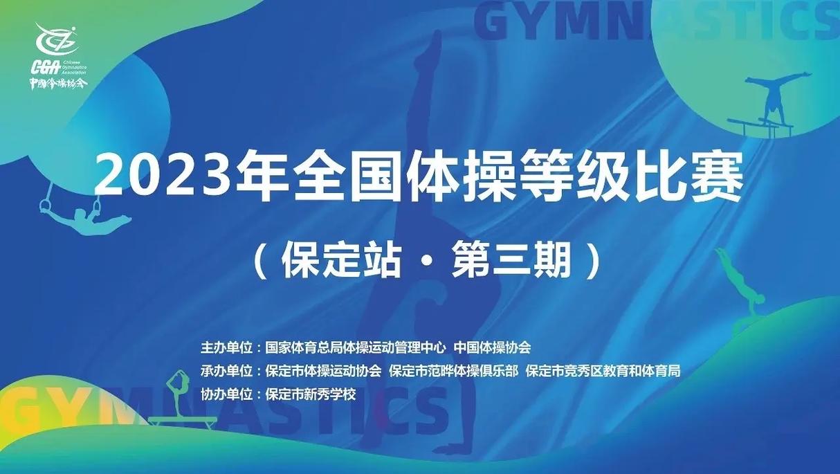 体育赛事等级,设计策略快速解答_整版DKJ656.74