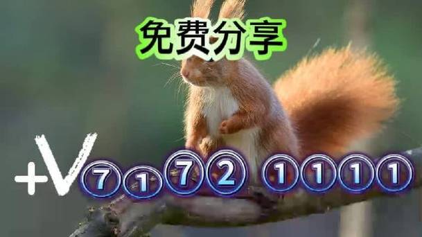 澳门六开彩开奖结果资料查询最新,真实经典策略设计_VR型43.237