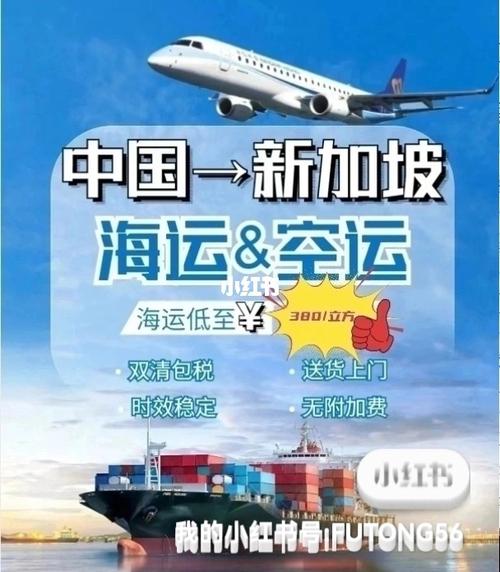 到新加坡用什么物流,设计策略快速解答_整版DKJ656.74