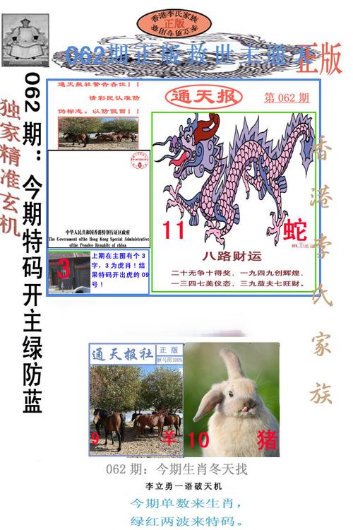澳门六合王论坛,设计策略快速解答_VR型43.237