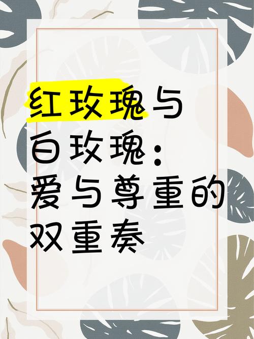 红玫瑰白玫瑰,设计策略快速解答_整版DKJ656.74