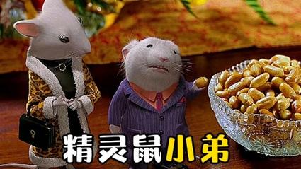 精灵鼠小弟2国语版电影说普通话,设计策略快速解答_VR型43.237
