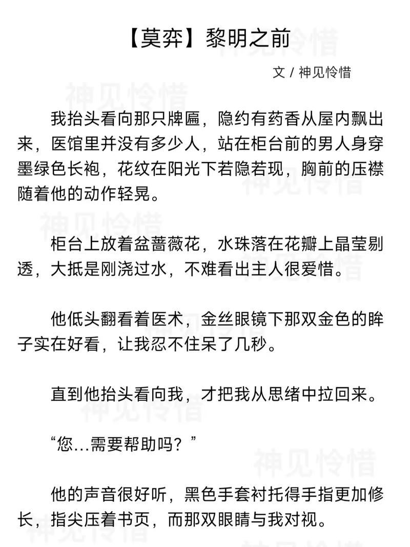 黎明之前在线观看电视剧,绝对策略计划研究_社交版40.12.0