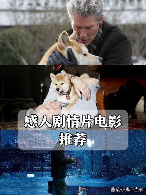 韩国催泪超感人电影,设计策略快速解答_整版DKJ656.74
