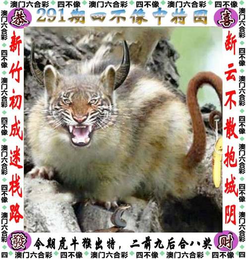 今天澳门特马资料,真实经典策略设计_VR型43.237