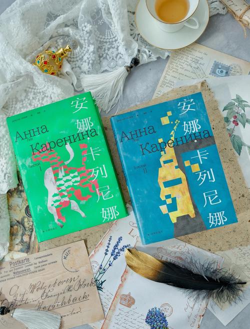 安娜·卡列尼娜,设计策略快速解答_VR型43.237