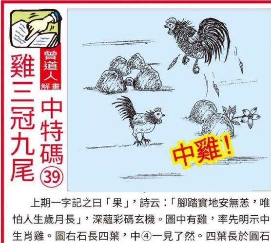 今天澳门特马资料,设计策略快速解答_整版DKJ656.74