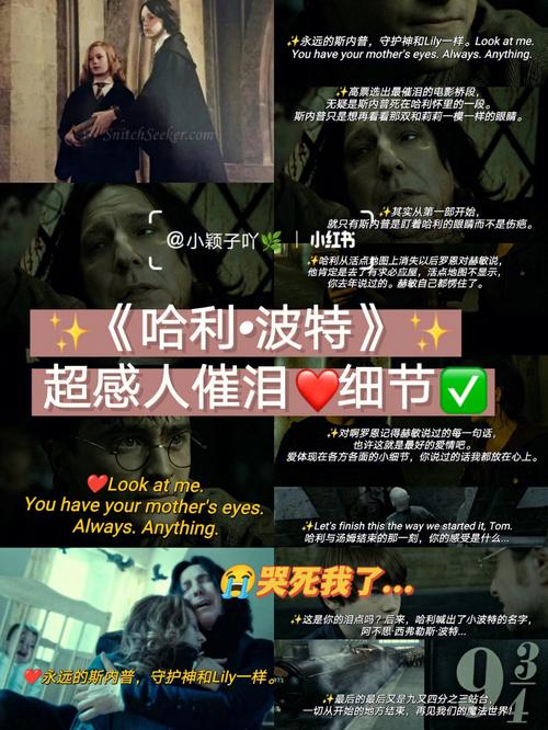 2025年5月3日 第5页